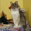 Отзыв от Вера Морозова